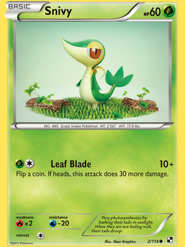 Snivy (2/114) [Black & White: Base Set]