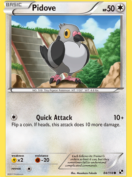 Pidove (84/114) [Black & White: Base Set]