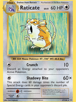 Raticate (67/108) [XY: Evolutions]