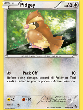 Pidgey (75/106) [XY: Flashfire]