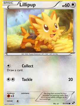 Lillipup (81/114) [Black & White: Base Set]