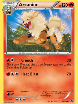 Arcanine (13/99) [Black & White: Next Destinies]