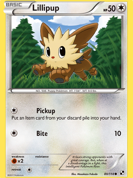 Lillipup (80/114) [Black & White: Base Set]