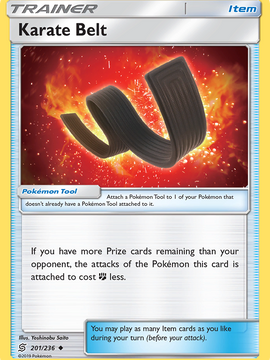 Karate Belt (201/236) [Sun & Moon: Unified Minds]