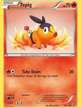 Tepig (16/114) [Black & White: Base Set]