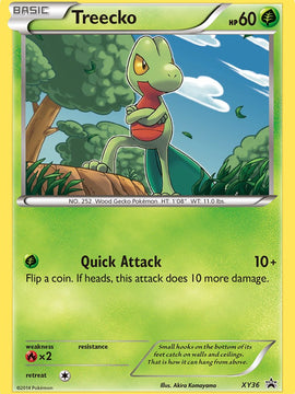 Treecko (XY36) [XY: Black Star Promos]