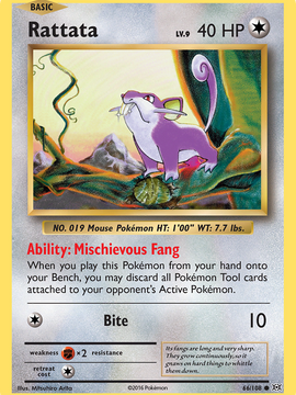 Rattata (66/108) [XY: Evolutions]