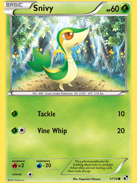 Snivy (1/114) [Black & White: Base Set]