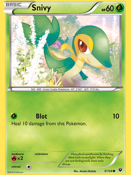 Snivy (5/124) [XY: Fates Collide]